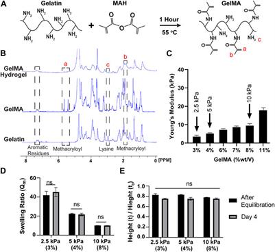 Endothelial glycocalyx sensitivity to chemical and mechanical sub-endothelial substrate properties